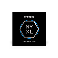 D`ADDARIO NYS019