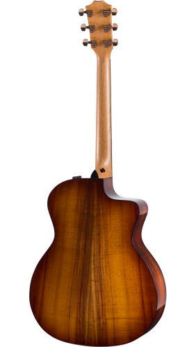 TAYLOR 224ce-K DLX фото 2